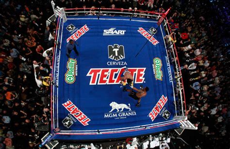 Pro Fight Boxing Ring Rental Fight Shop