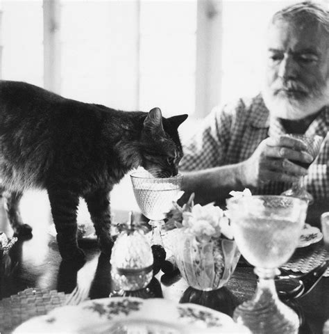 Wie die ard mitteilte, ist die erste klappe für sechs neue folgen bereits ende mai gefallen. Historical Pets Who Were Great at Working from Home in ...