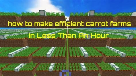 How To Make A Carrot Farm In Hypixel Skyblock Youtube