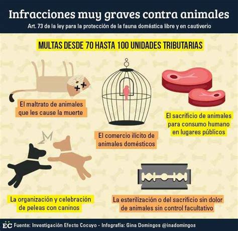 Álbumes 92 Foto Infografia De Los Derechos De Los Animales Lleno