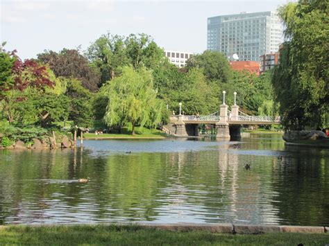 Boston Public Gardens The Bridge That Changes My Life