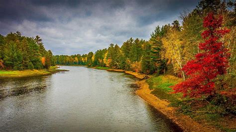 River Between Green Yellow Red Spruce Fall Trees Under White Clouds