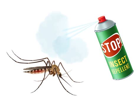 La Citronela Contra Los Mosquitos Mito O Realidad