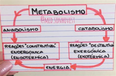 Mapa Mental Sobre Metabolismo