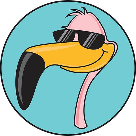 Pink Flamingo Sunglasses Illustrations Royalty Free