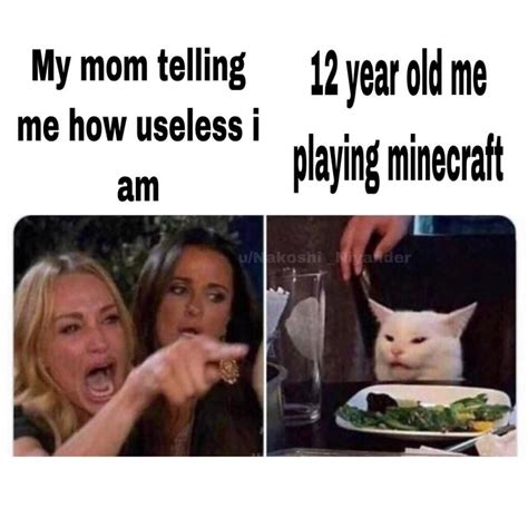 66 Woman Yelling At A Cat Memes That Still Slap In 2021 Funny Gallery Ebaums World