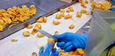 B2b database for the food industry manufacturers, suppliers, and exporters in kerala containing phone numbers and emails (ceos, directors, department managers), company address, website, turnover, and more. Jackfruit Processing Plant at Best Price in Punalur ...
