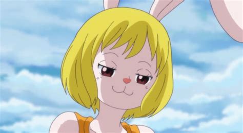 Also Carrot When She Sees All That Rule 34 Ronepiececirclejerk