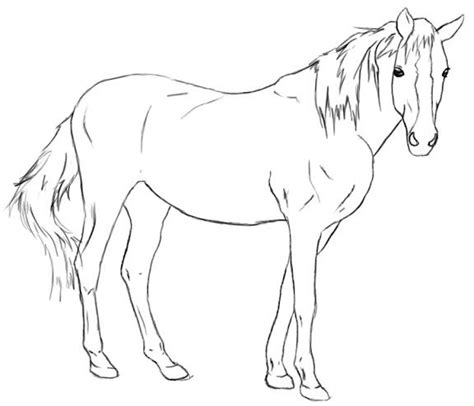 How To Draw A Horse Draw Central Horse Drawings Horse Drawing Horses