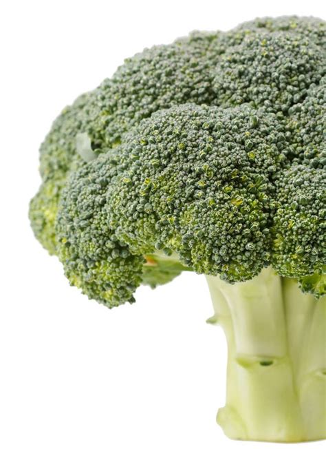 Fresh Raw Green Broccoli Stock Image Image Of Crop Freshness 16318989