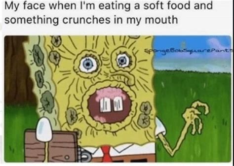 100 Funny Spongebob Memes That Will Get You On Floor