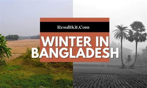 Winter Season In Bangladesh And Its Natural Beauty Expose Times