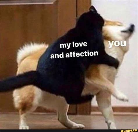 All My Love And Affection Memes Meme Image