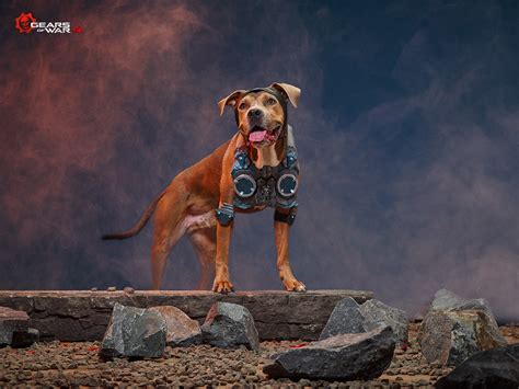 Xbox Put Dogs In Pubg Halo And Gears Of War Cosplay