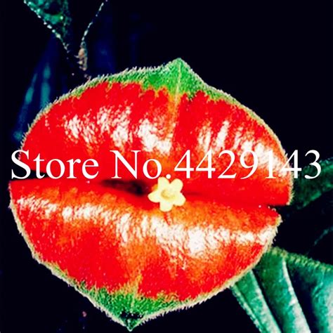100 Pcsbag Red Lips Flower Bonsai Rare Flowering Pots Japanese Home