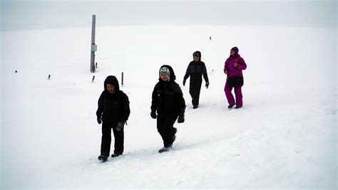 Ice melt forces polar bears into paths of Alaska ...