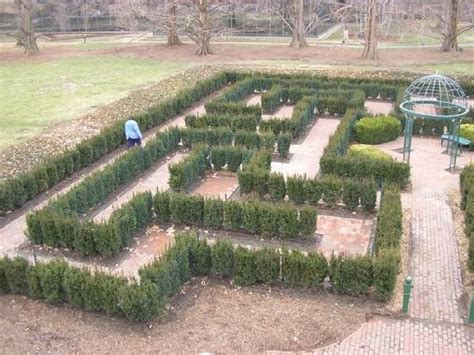 The Hedge Maze Picture Of Missouri Botanical Garden Saint Louis