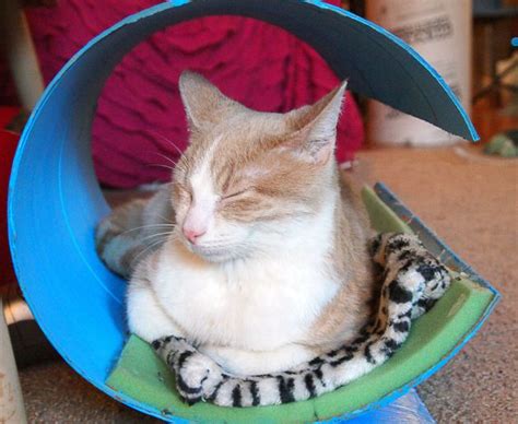 19 Most Amazing Ideas To Make Cool And Cozy Bed For Your Cat