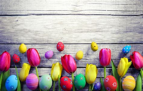 Wallpaper Flowers Spring Colorful Easter Tulips Wood Flowers