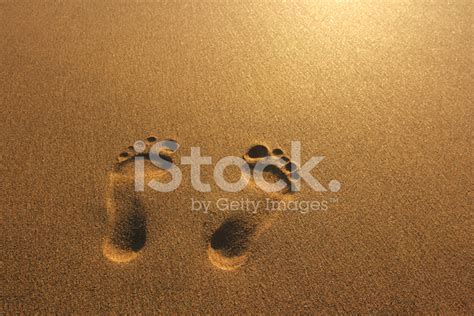 Footprints Stock Photo Royalty Free Freeimages