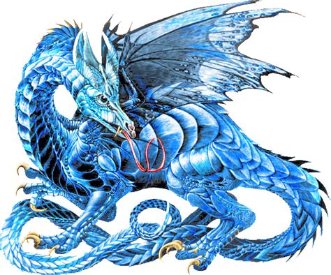 Dragon | Blue dragon, Dragon pictures, Fantasy dragon