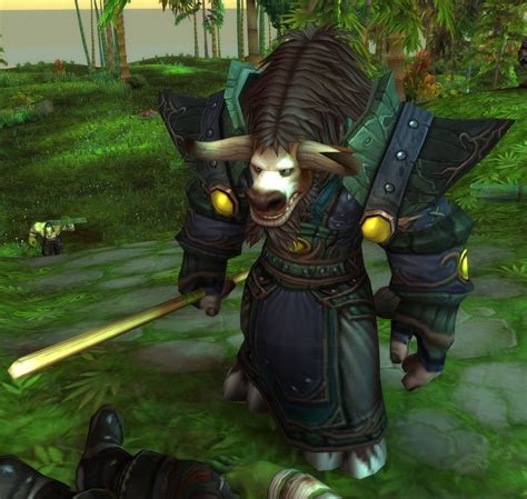 Horde Druid Npc World Of Warcraft