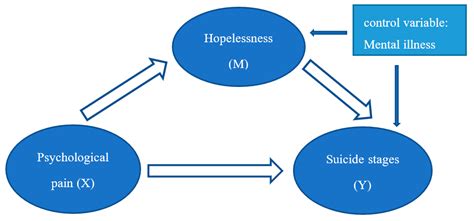 IJERPH | Free Full-Text | Exploring the Suicide Mechanism Path of High
