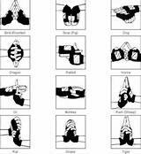 Pictures of Ninja Fighting Styles
