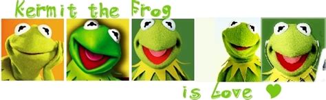 Kermit Banner Kermit The Frog Fan Art 8443119 Fanpop