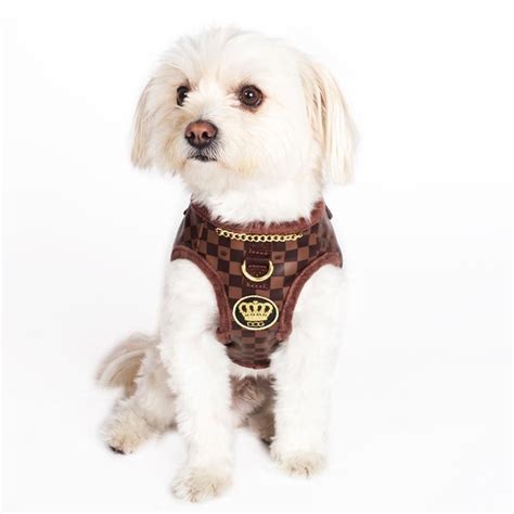 Check And Chain Dog Designer Harness 2 Colors Free Shipping Online
