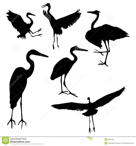 Download Blue Heron Clipart For Free Designlooter 2020 👨‍🎨
