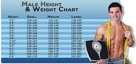 Height Weight Chart Men Height Weight Chart Men Correct Weight For