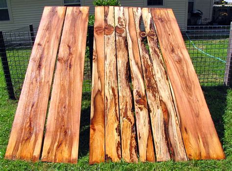 Maybe you would like to learn more about one of these? Pignut Hickory and Wild Black Cherry in the Woodmizer LT10