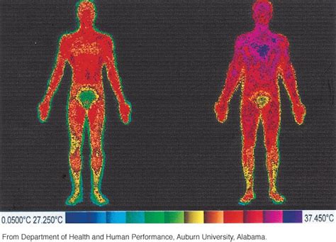 Normal Human Body Temperature Is A Range Around 986 F A