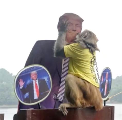 Psychic Animals Favor Trump In The Election Huffpost Uk