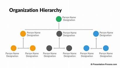 Chart Flat Hierarchy Powerpoint Process Vertical Organization