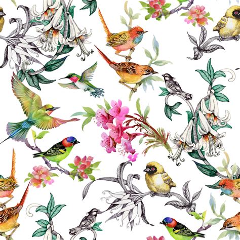 Tof Behang Vogels Illustratie Verschillende Soorten Omringd Door Bloemen Tof Behang Aan Je Muur