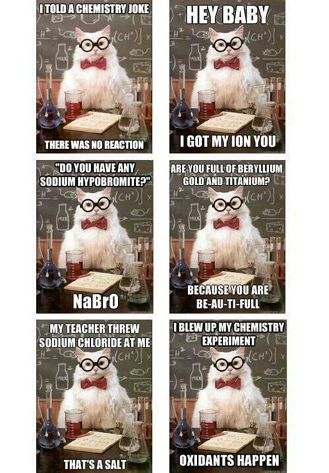 Chemistry Cat Pick Up Lines Science Cat Science Memes Science Nerd