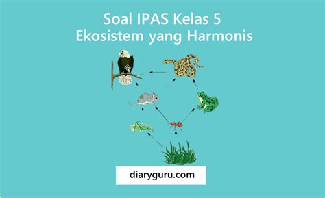 Soal IPAS Kelas 5 Ekosistem Yang Harmonis Diary Guru