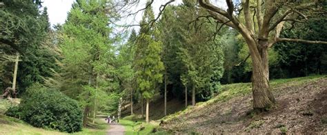 2,655 likes · 2 talking about this · 2,048 were here. Leigh Woods | Forestry England