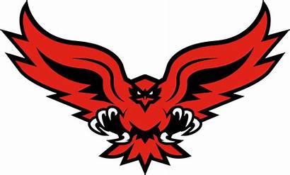 Hawks Hartford Logos Alternate Mascot Hawk Sports