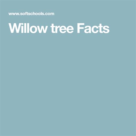 willow tree facts willow tree facts willow