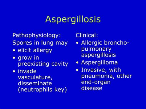 Ppt Fungal Infections Powerpoint Presentation Free Download Id554303