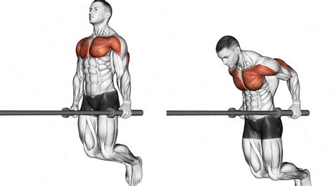 Advanced Dip Exercises For Ultimate Upper Body Strength Fitness Republic