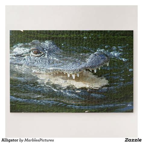 Alligator Jigsaw Puzzle Zazzle Marble Pictures Jigsaw Puzzles Artwork