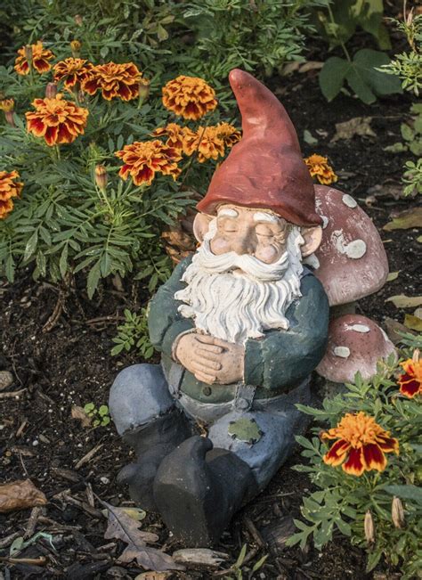 There are many different types of garden gnomes, seen in many different positions and even made from different types of materials. Garden Gnome Information - Learn About The History Of ...
