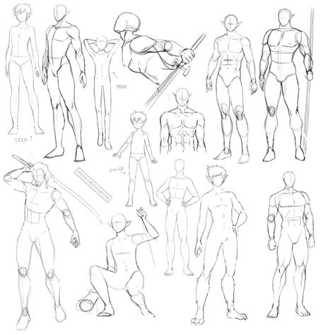 Download male anatomy stock vectors. Pin by FirstDisciple Doa on Anatomy | Pinterest