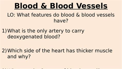 Blood And Blood Vessels Gcse And Exploring Science 7c Teaching Resources