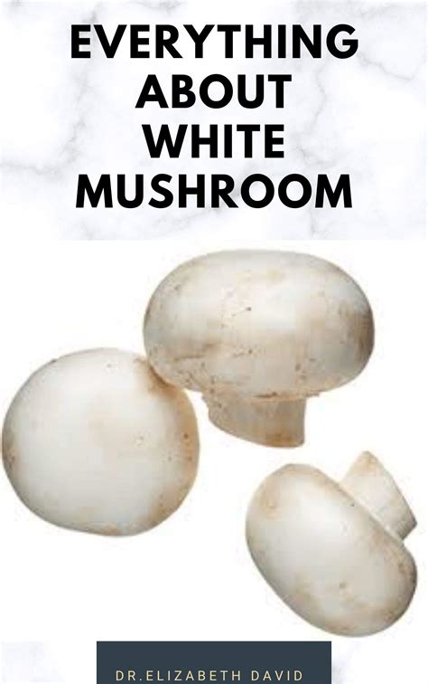 Buy Everything About White Mushroom All You Need TO Know About The