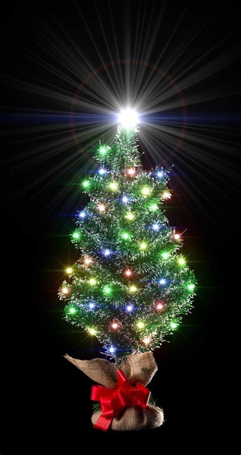 Lights On Christmas Tree Stock Photo Image Of Closeup 3610668